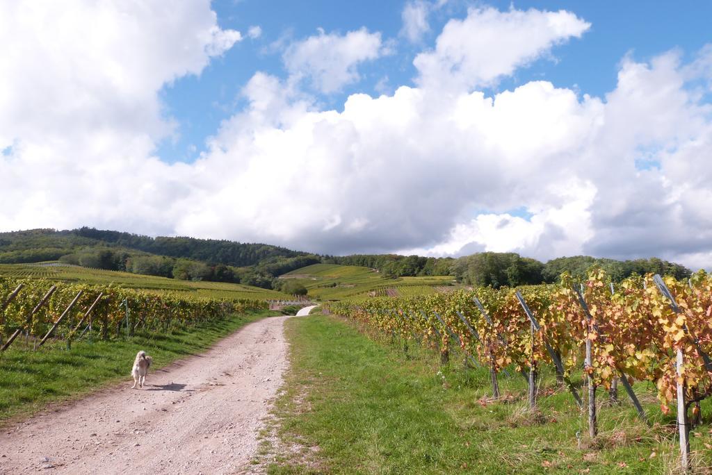 Vila Le P'Tit Coin De Chez Nous Dambach Exteriér fotografie