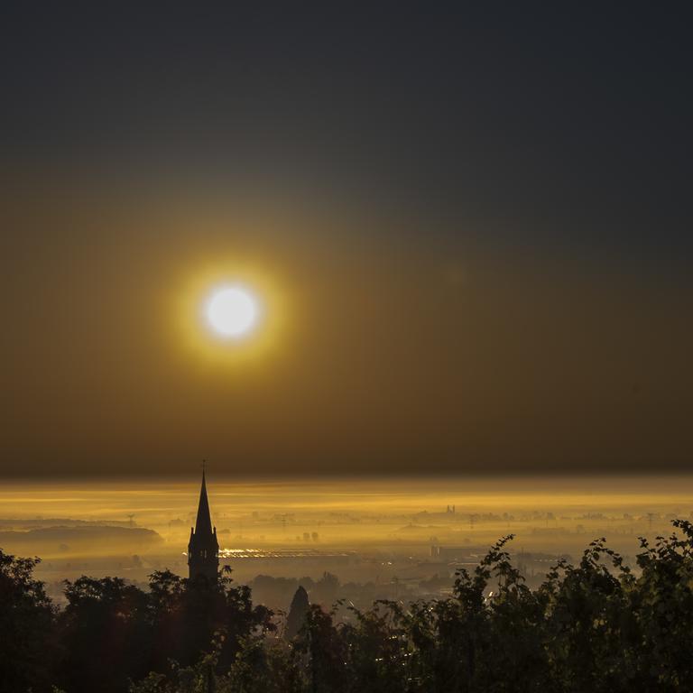 Vila Le P'Tit Coin De Chez Nous Dambach Exteriér fotografie