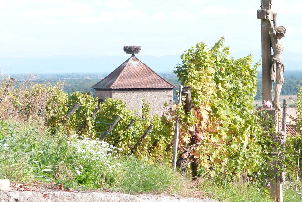 Vila Le P'Tit Coin De Chez Nous Dambach Exteriér fotografie