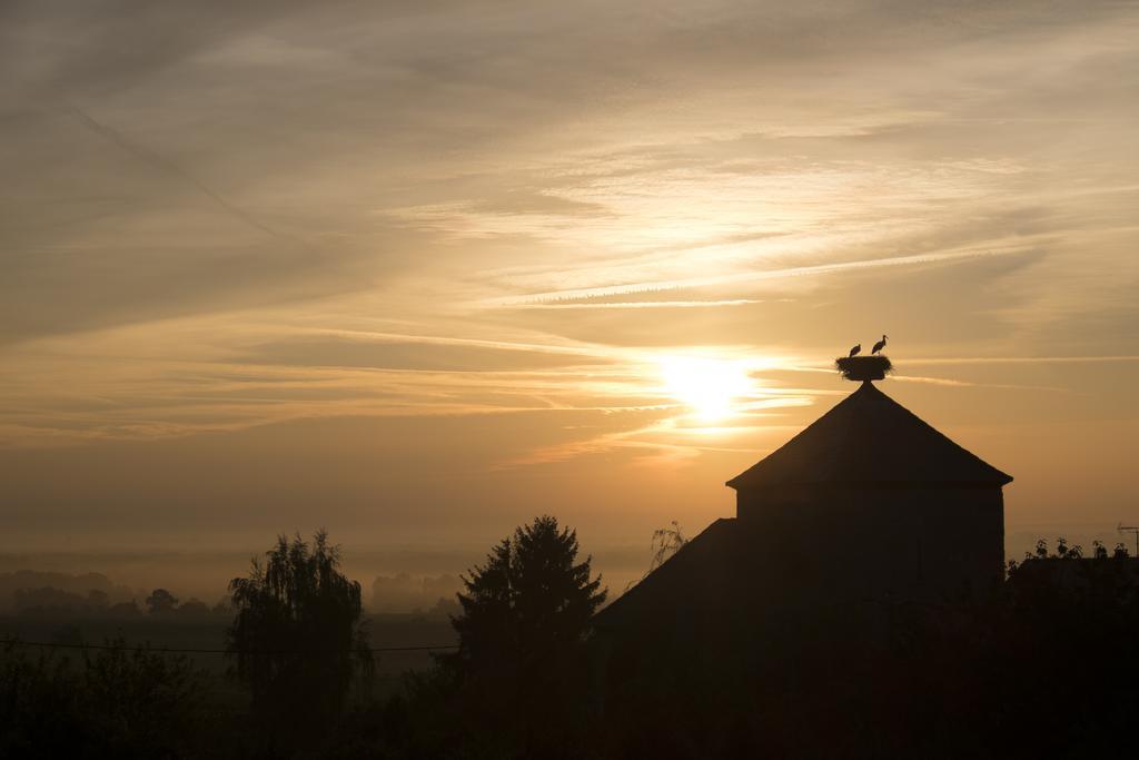 Vila Le P'Tit Coin De Chez Nous Dambach Exteriér fotografie