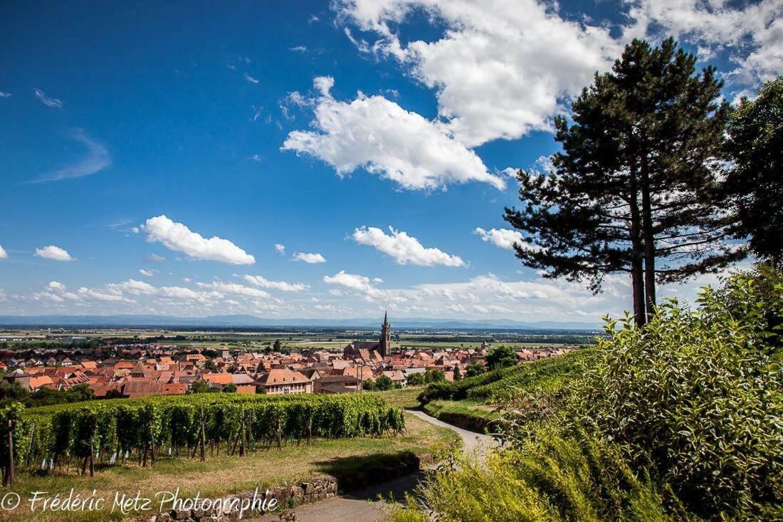 Vila Le P'Tit Coin De Chez Nous Dambach Exteriér fotografie