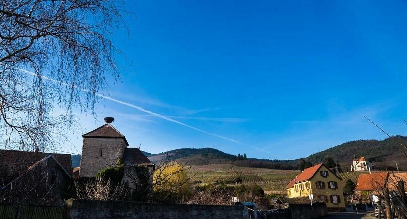 Vila Le P'Tit Coin De Chez Nous Dambach Exteriér fotografie